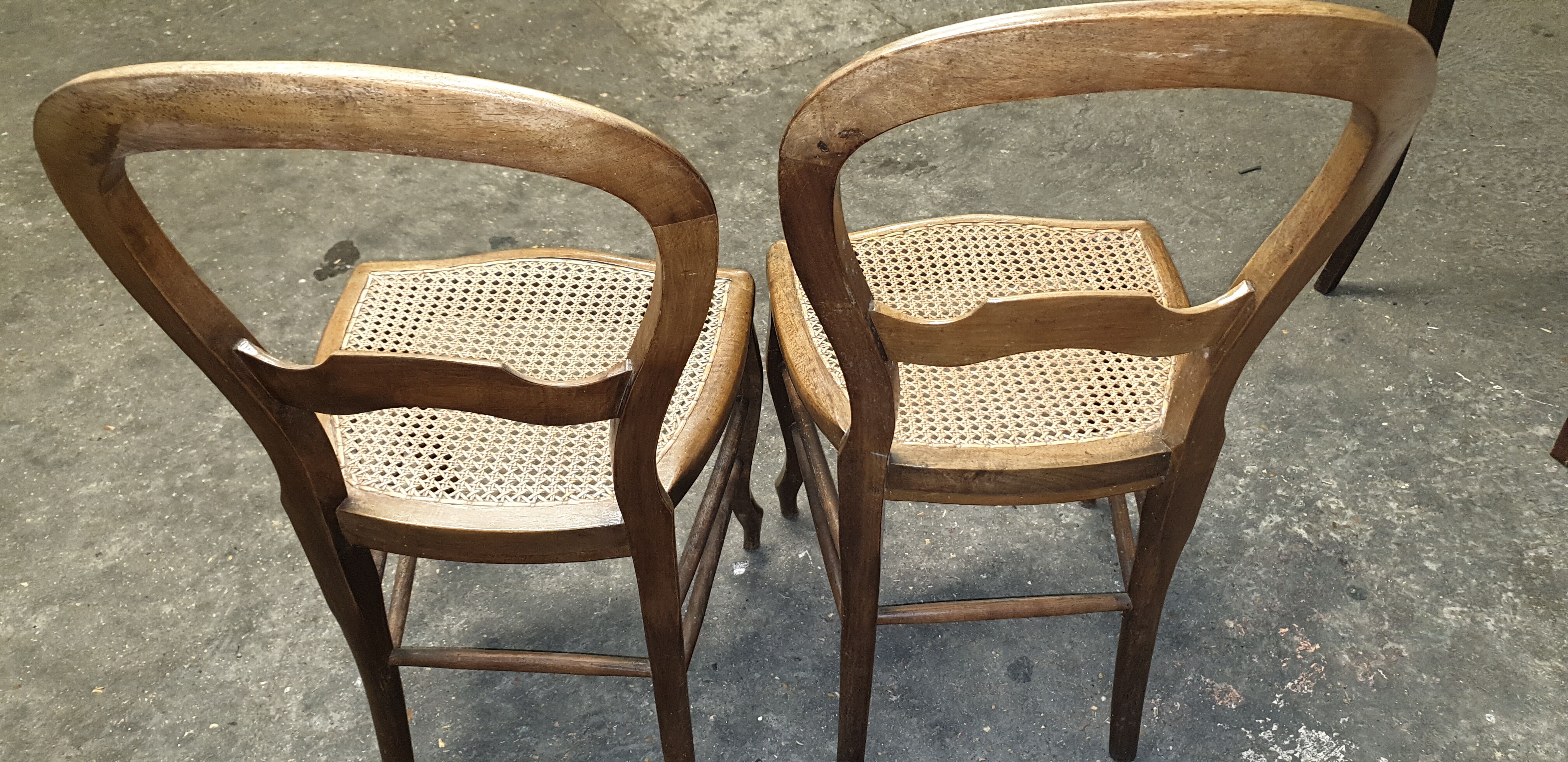 Pair of louis Philippe chairs