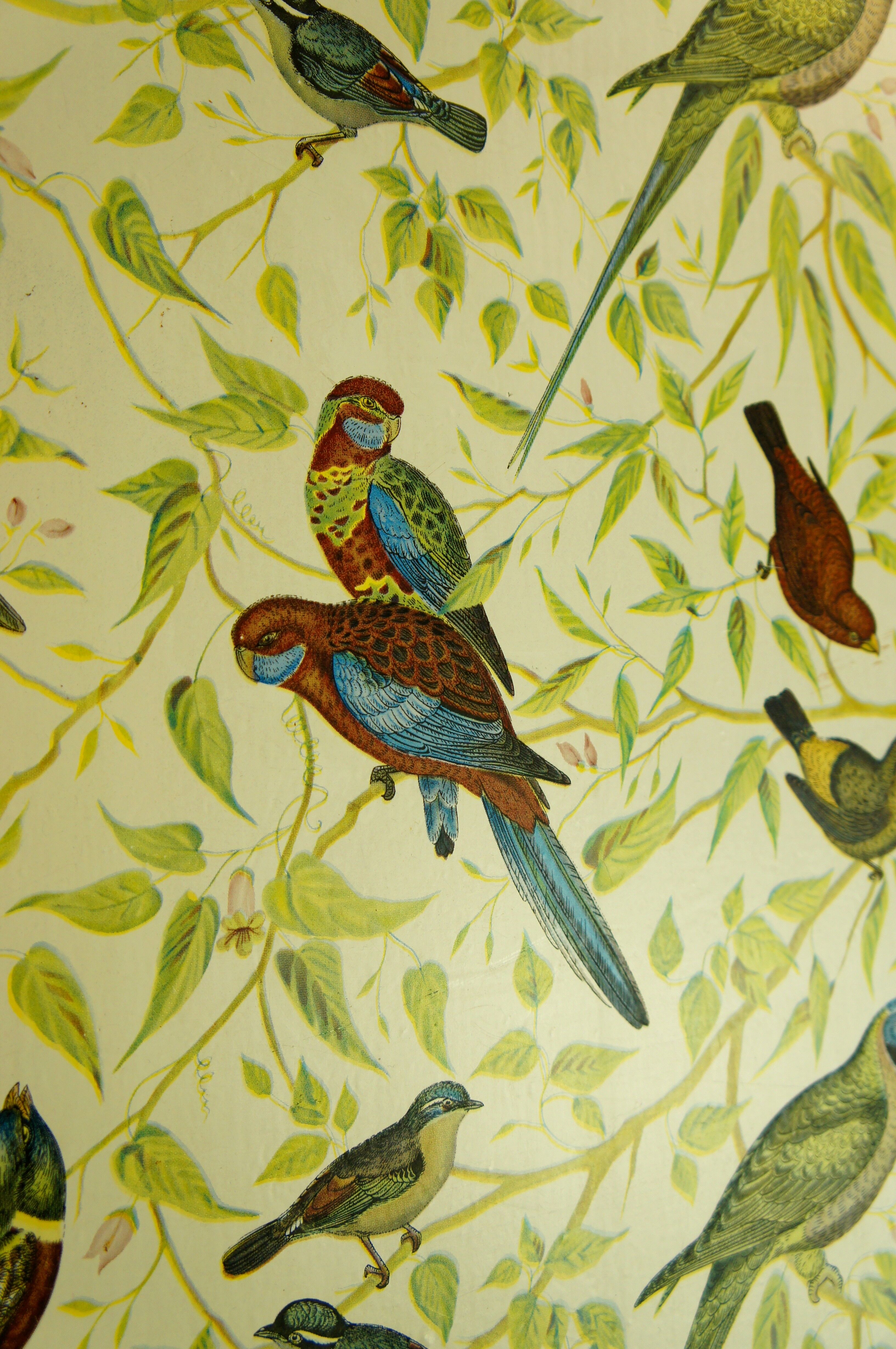 Vintage "birds" side table