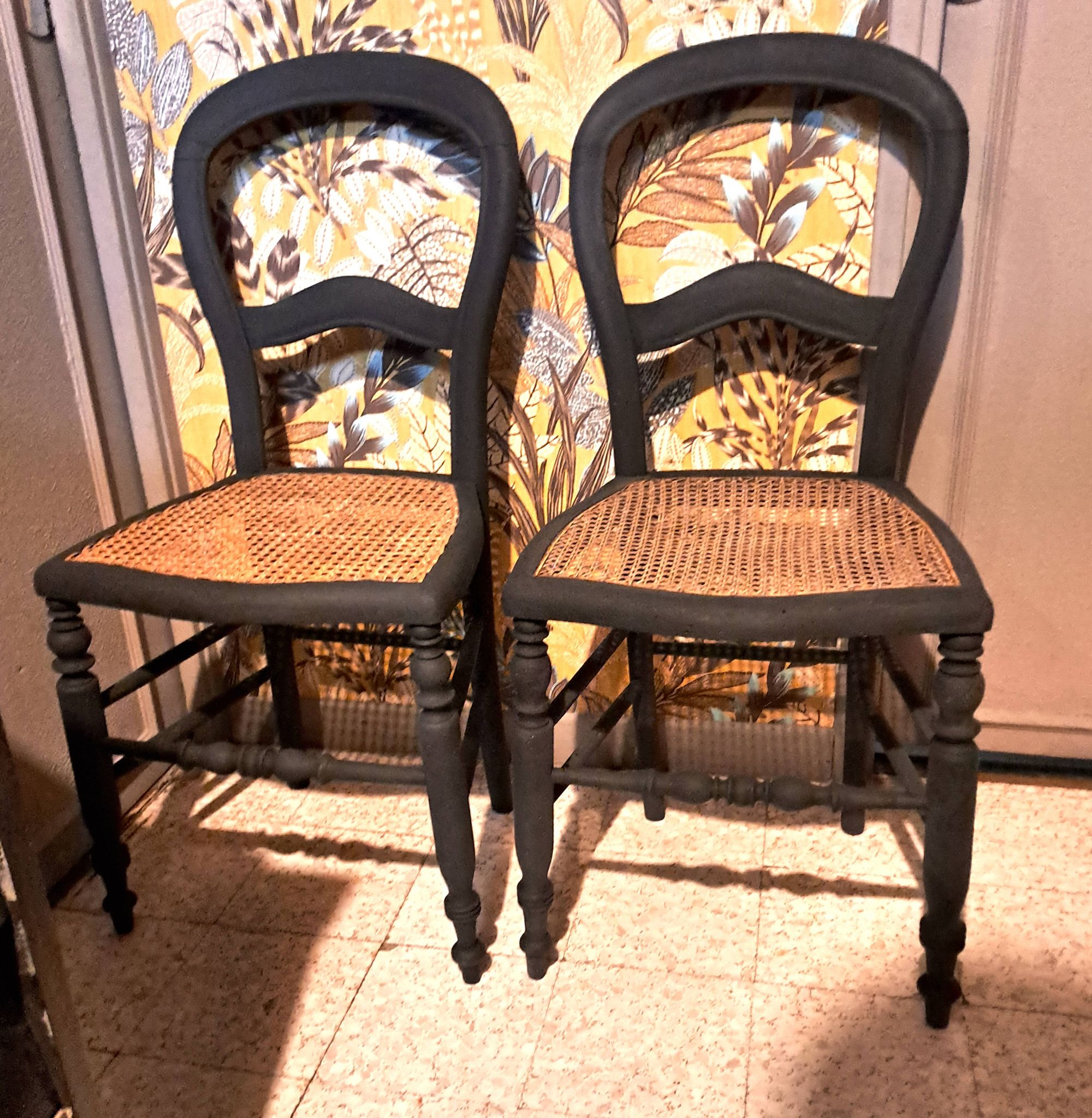 Pair of 2 chairs with cane seats in black wood, circa 1940