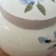 Ceramic pot and its lid