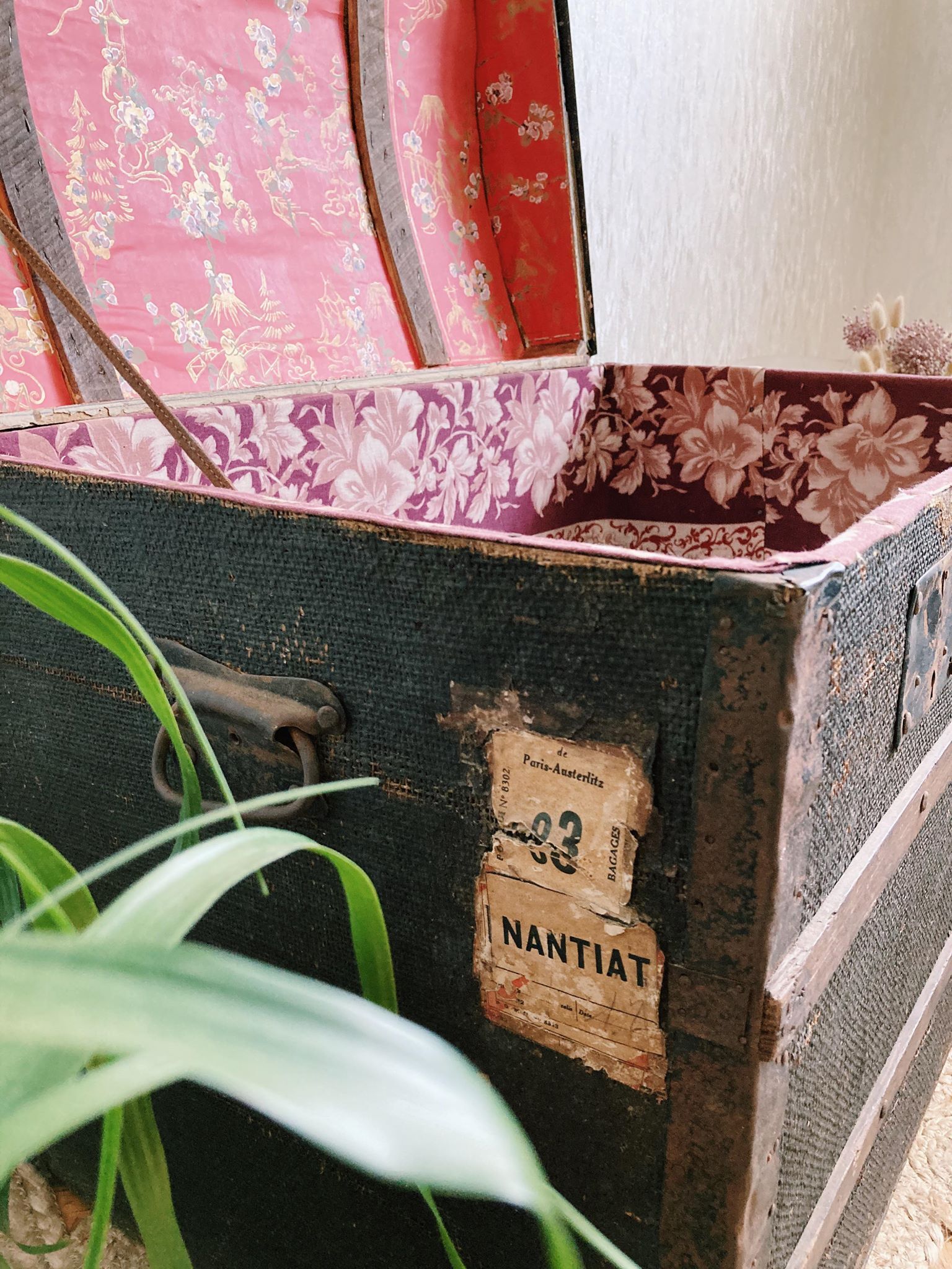 Transport trunk