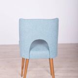 Polish Shell Chairs from Bydgoszcz Furniture Factory, 1960s, Set of 6