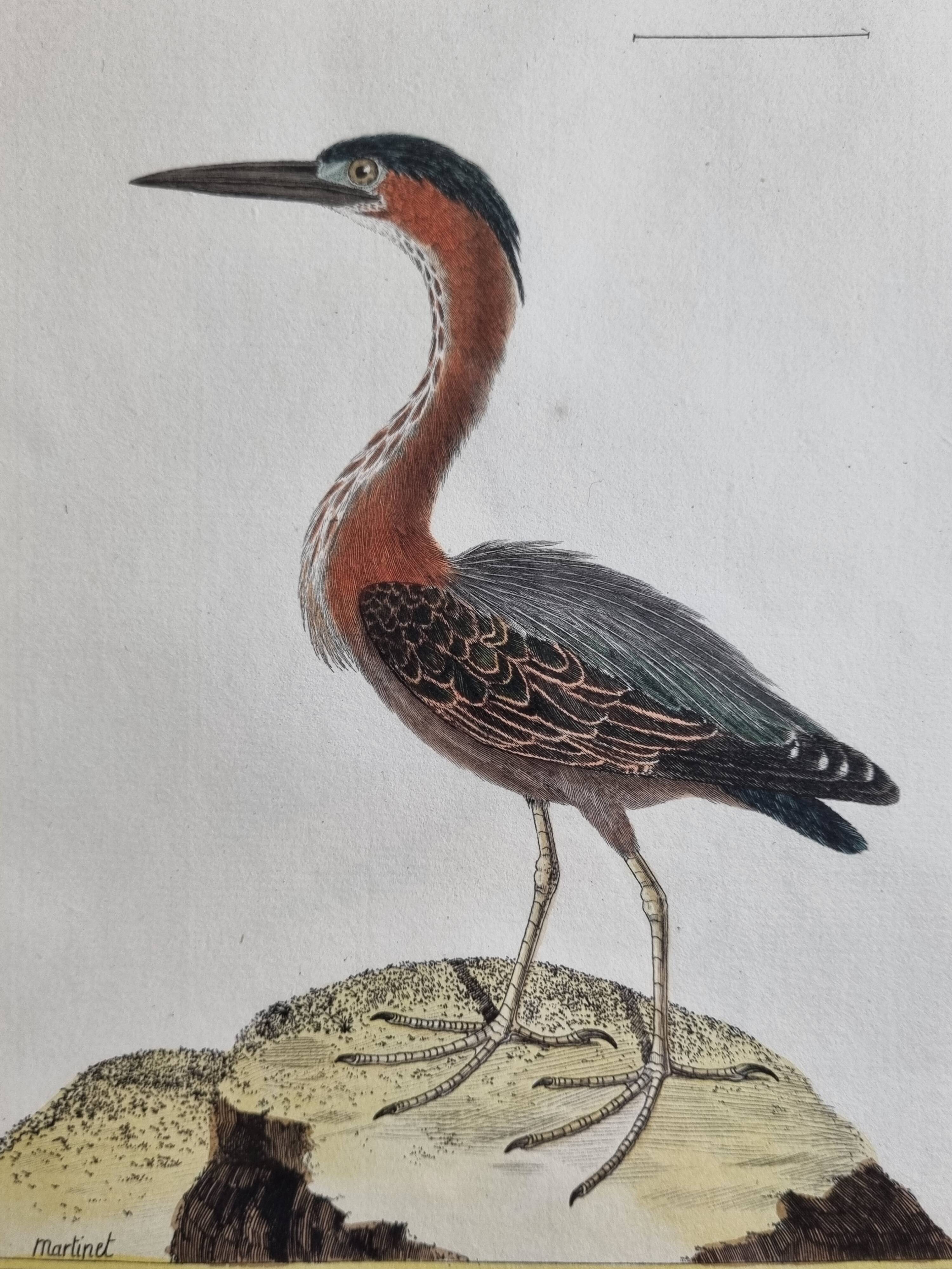 Original engraving by François Nicolas Martinet, 18th century, Louisiana crab fisher, framed,