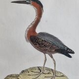 Original engraving by François Nicolas Martinet, 18th century, Louisiana crab fisher, framed,