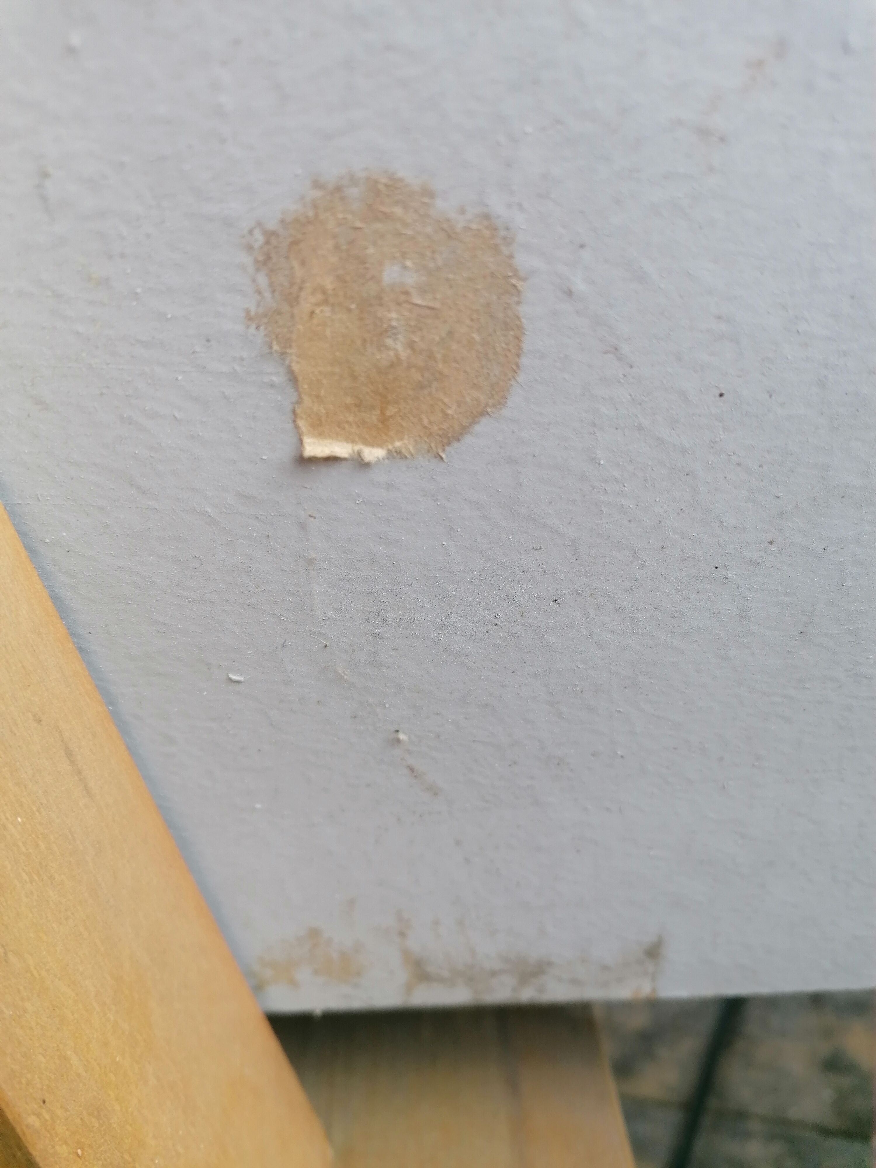 Sofa daybed Miroslav Navratil Czechoslovakia 1960