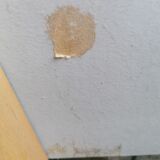 Sofa daybed Miroslav Navratil Czechoslovakia 1960