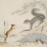 Original zoological plank " sarigues - gerboise - little grey " buffon 1838