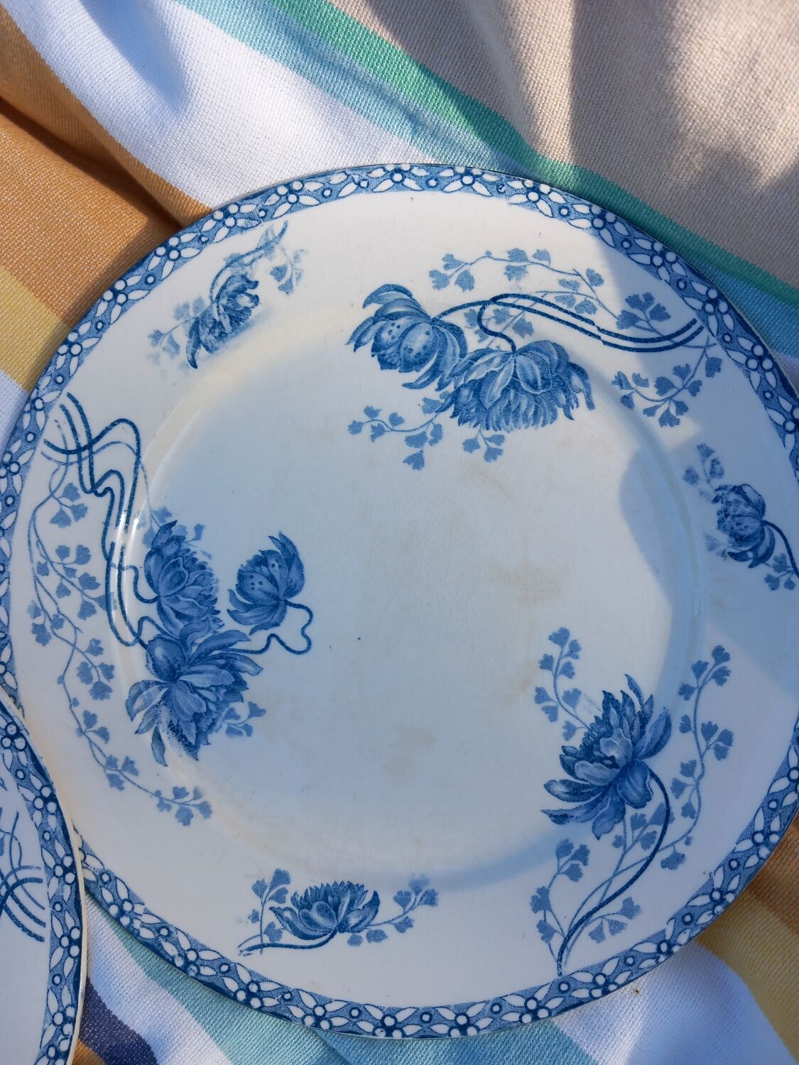 13 sarreguemines plates model royat