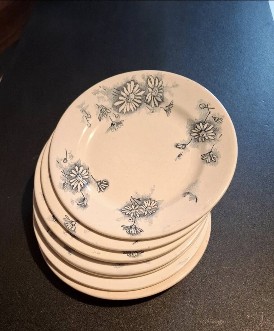 Set of 8 antique plates