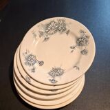 Set of 8 antique plates