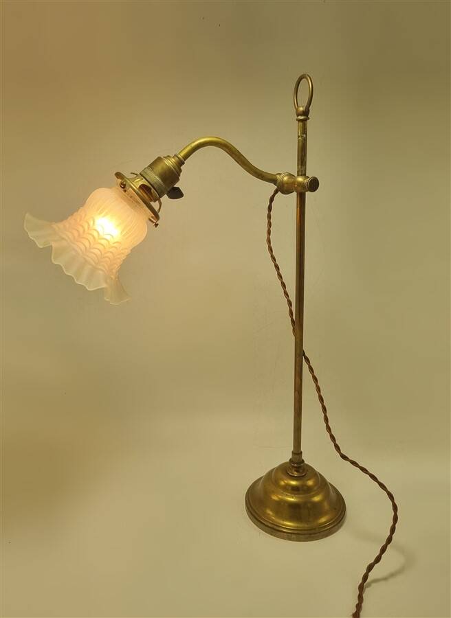 Swan neck lamp