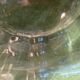 Lalique cup