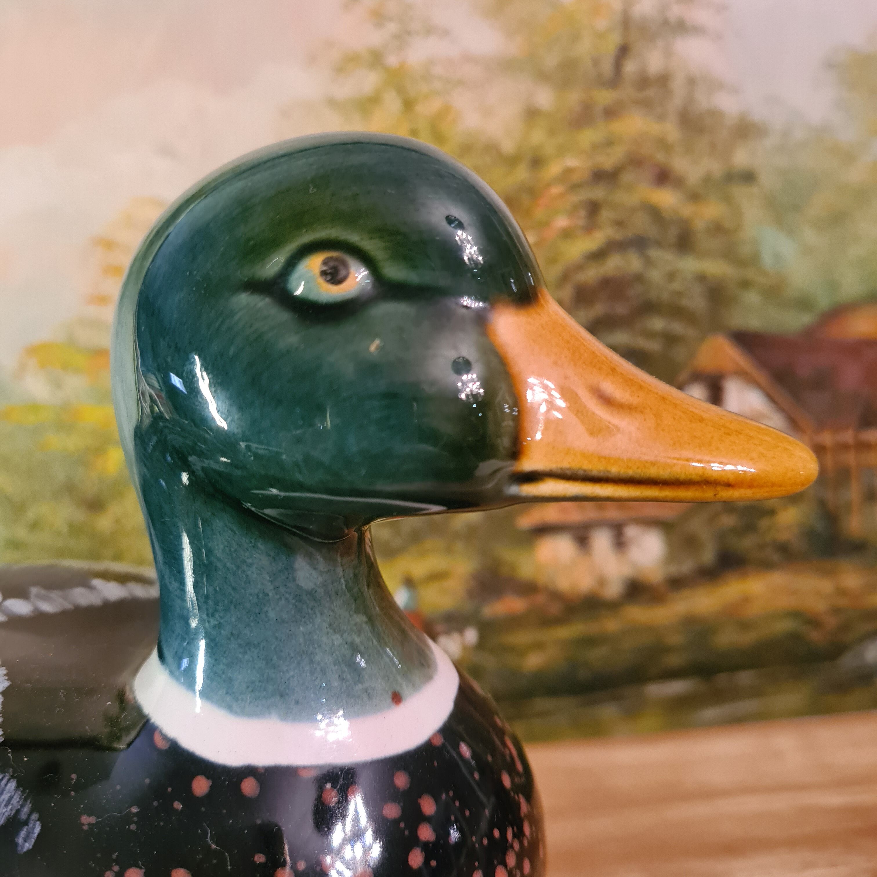 Terrine caugant duck