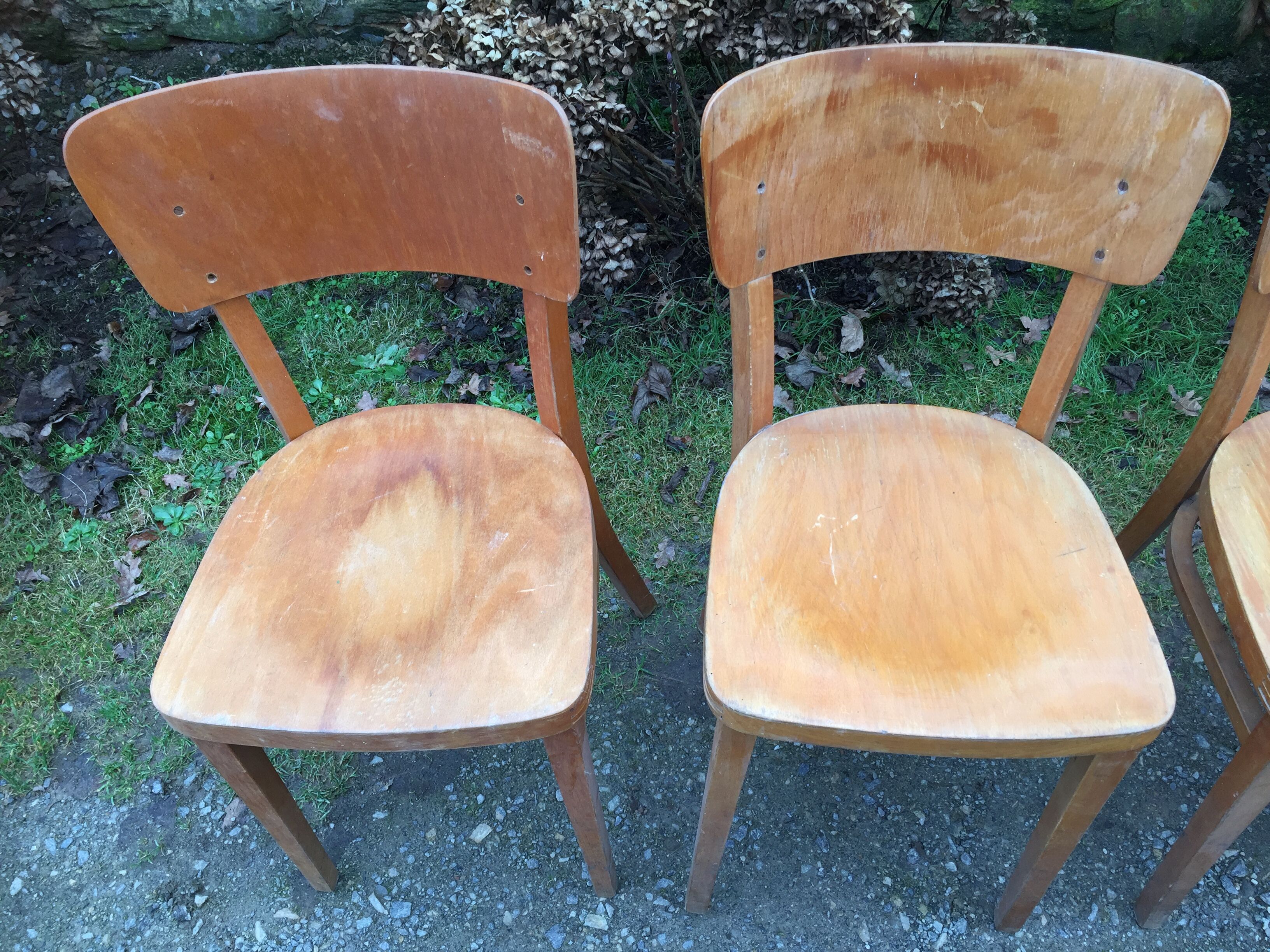 Vintage chairs stamped Thonet in curved beech wood and curved cp backrest.