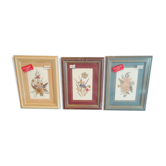 3 frames of dried flowers from Mauritius