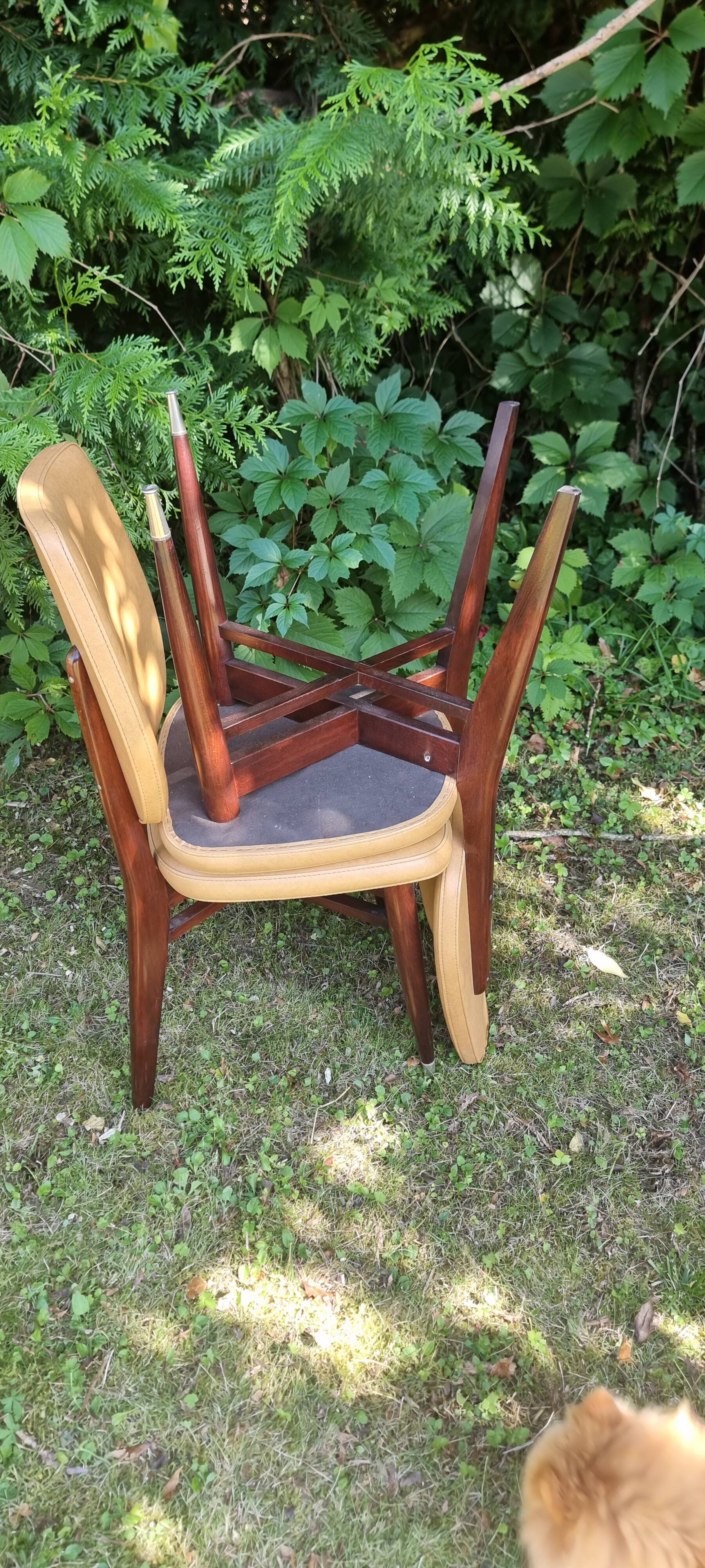 Set of 5 vintage chairs from the 50s