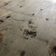 Wooden counter XIXth