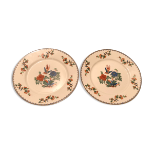 Plats raynaud porcelaine - limoges