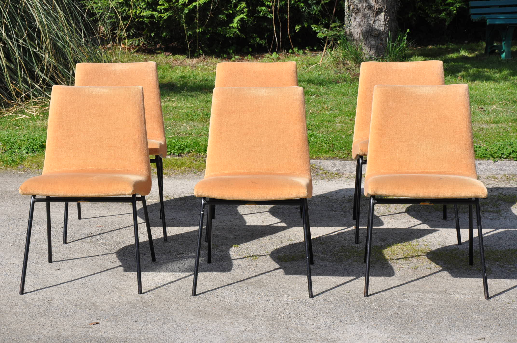 Pierre Paulin chairs