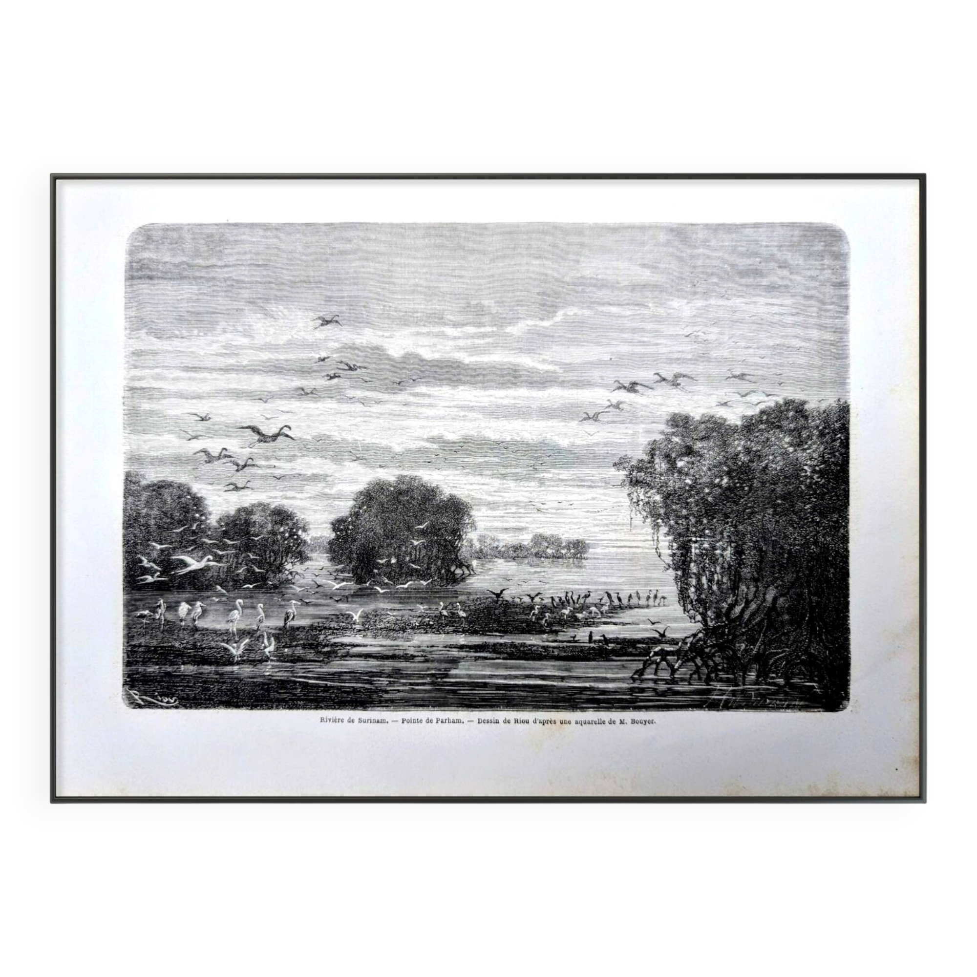 Suriname River, Parham. Printed illustration from 1866.