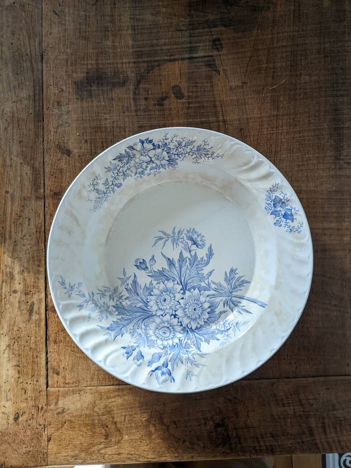 Dish Badonviller Summer
