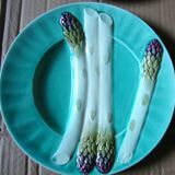 4 assiettes à asperges en barbotine Keller & Guerin Lunéville
