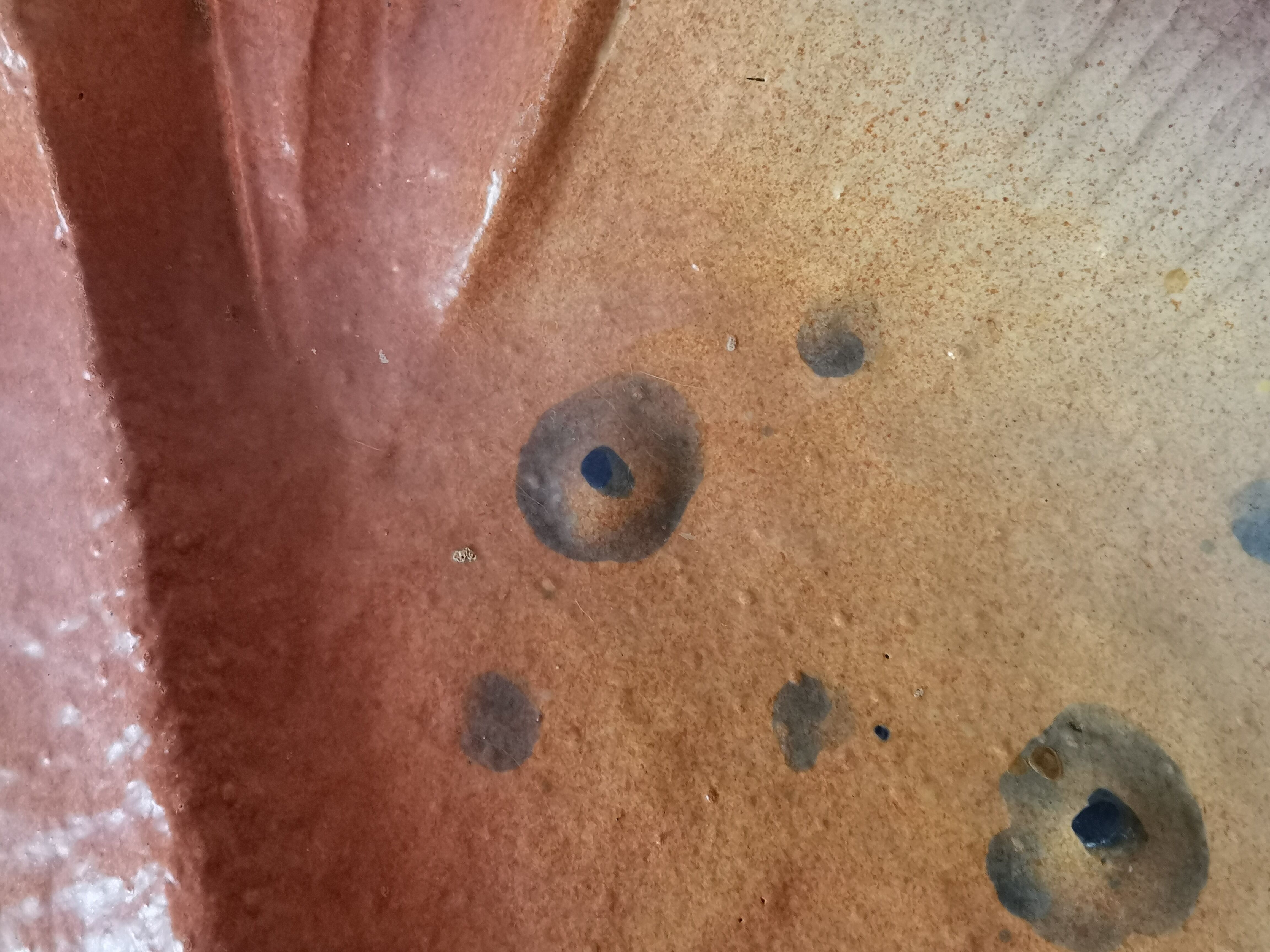 Zoomorphic dish ray