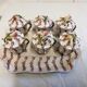 Veuve perrin earthenware cream service