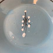 Ceramic head to head