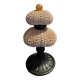 Cabinet of Curiosities sea urchins paracentrotus lividus on pedestal