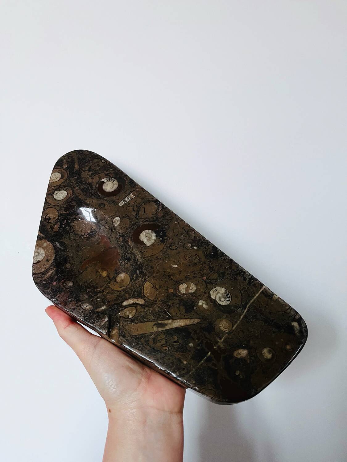 Vintage fossilised marble catchall