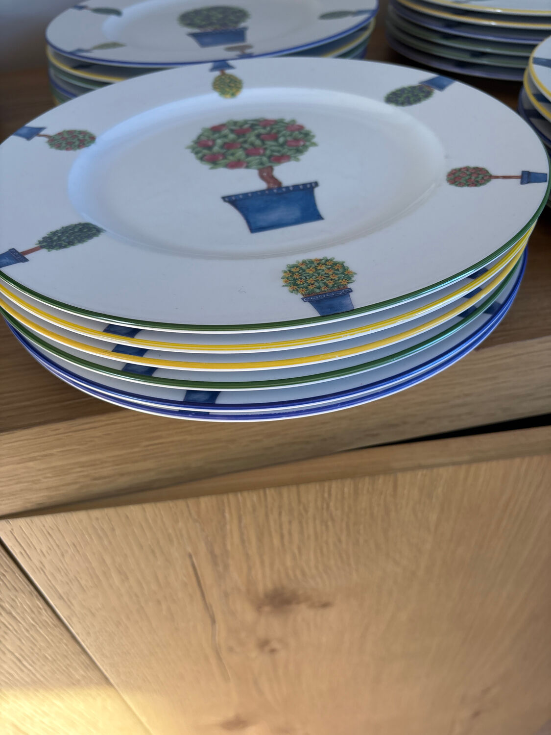 27 cm porcelain dinner plates