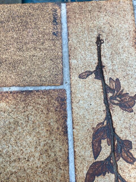 Roger Capron's "herbarium" table of the 60s/70s
