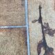 Roger Capron's "herbarium" table of the 60s/70s