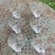 6 antique champagne glasses, chiseled floral motif, collector's item