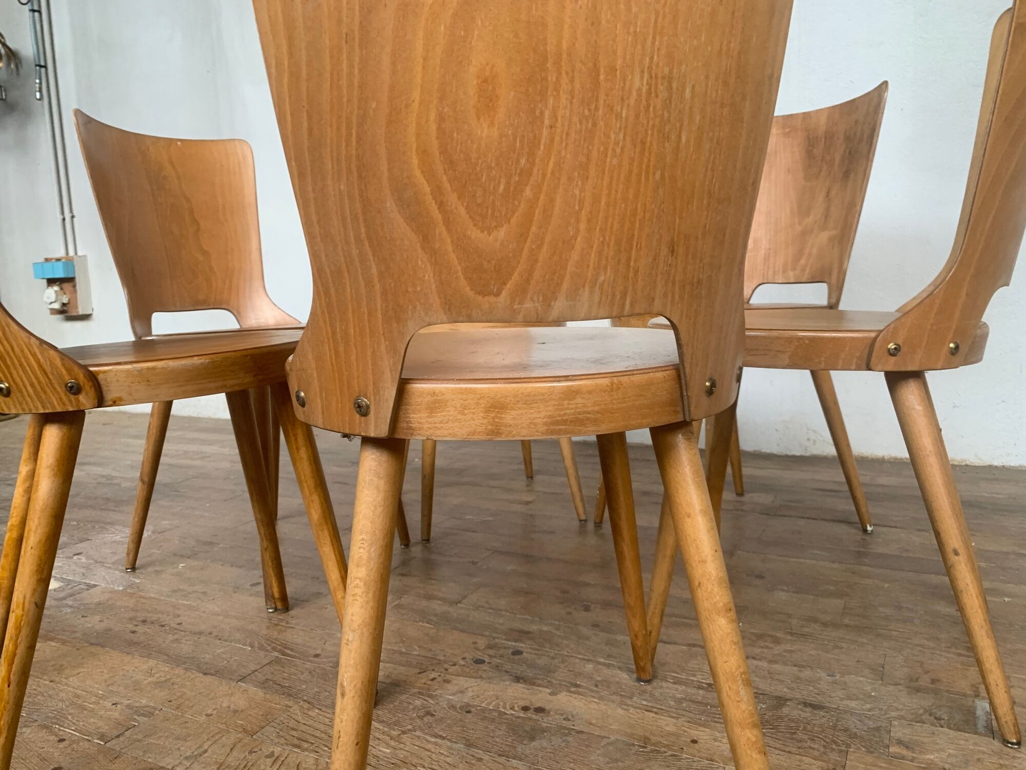 Series of 6 chairs bistro Baumann model Dove year 1950/1960