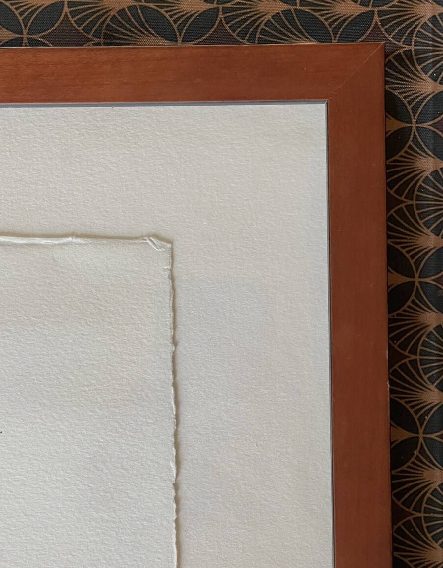 François Boucq (1955) - The Adventures of Jérôme Moucherot - Lithograph