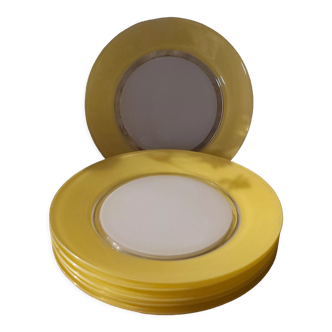 6 Duralex flat plates