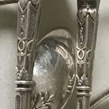 12 teaspoons silver metal