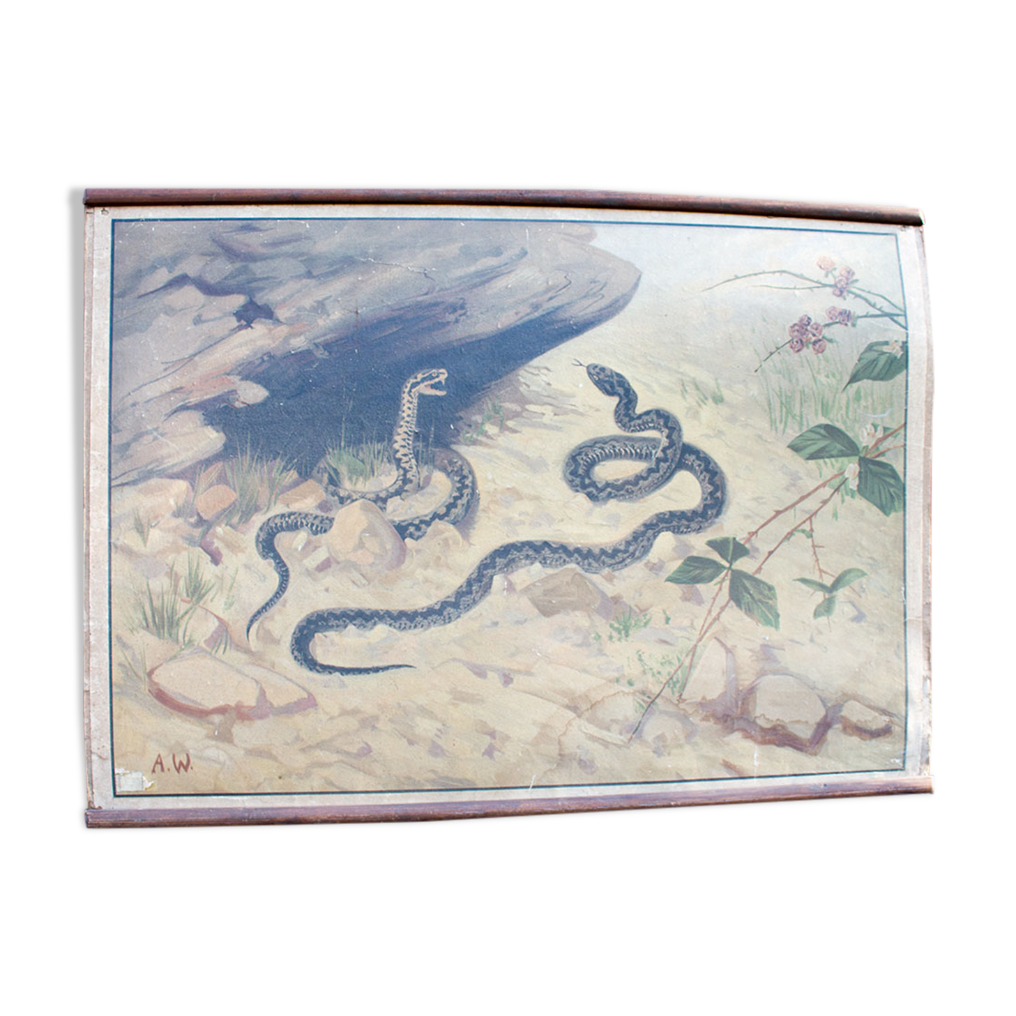 Old snake school map