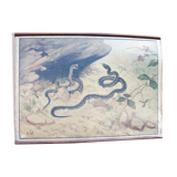 Old snake school map