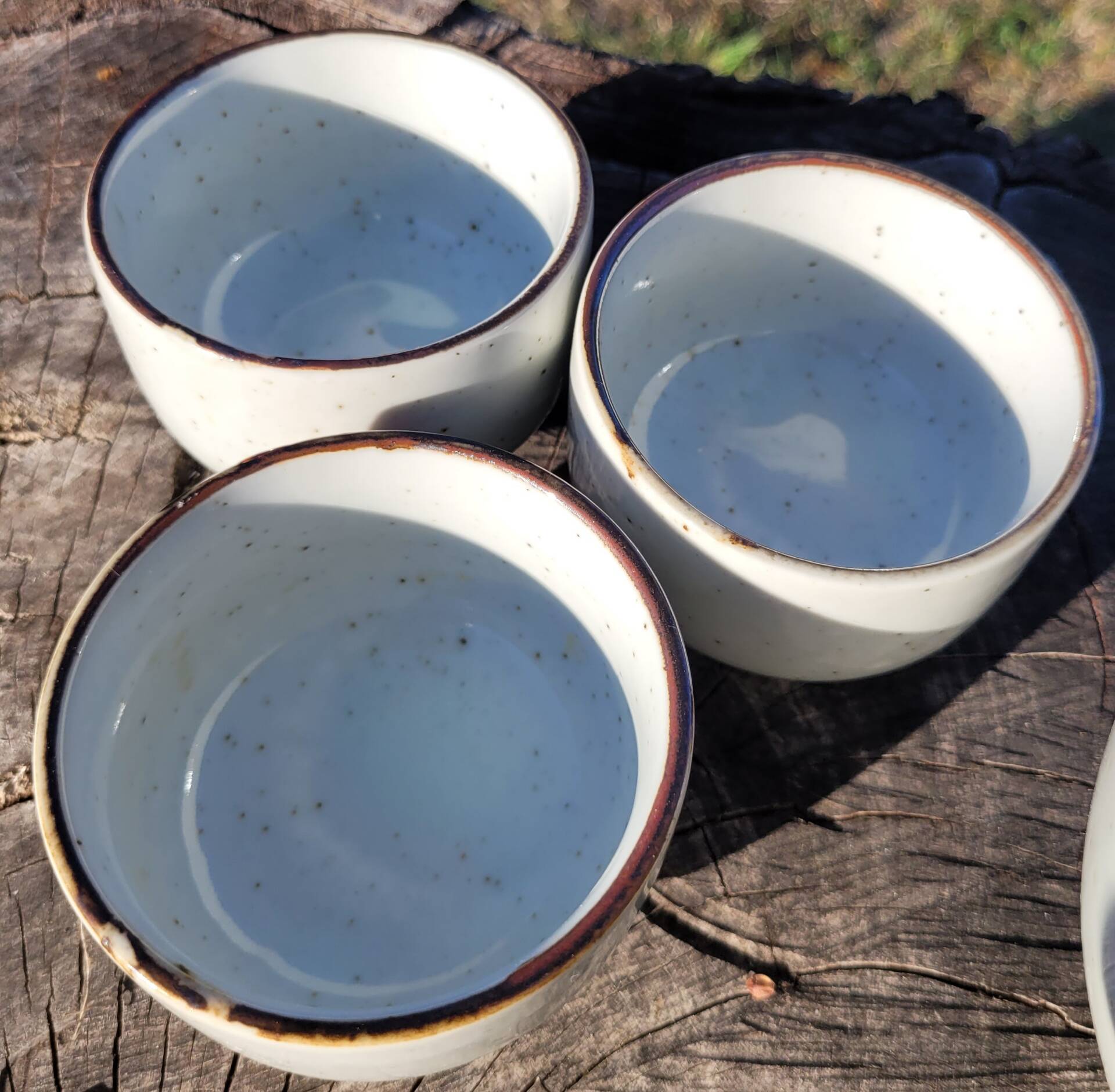 Japanese tea service in stoneware, possibly Otagiri.