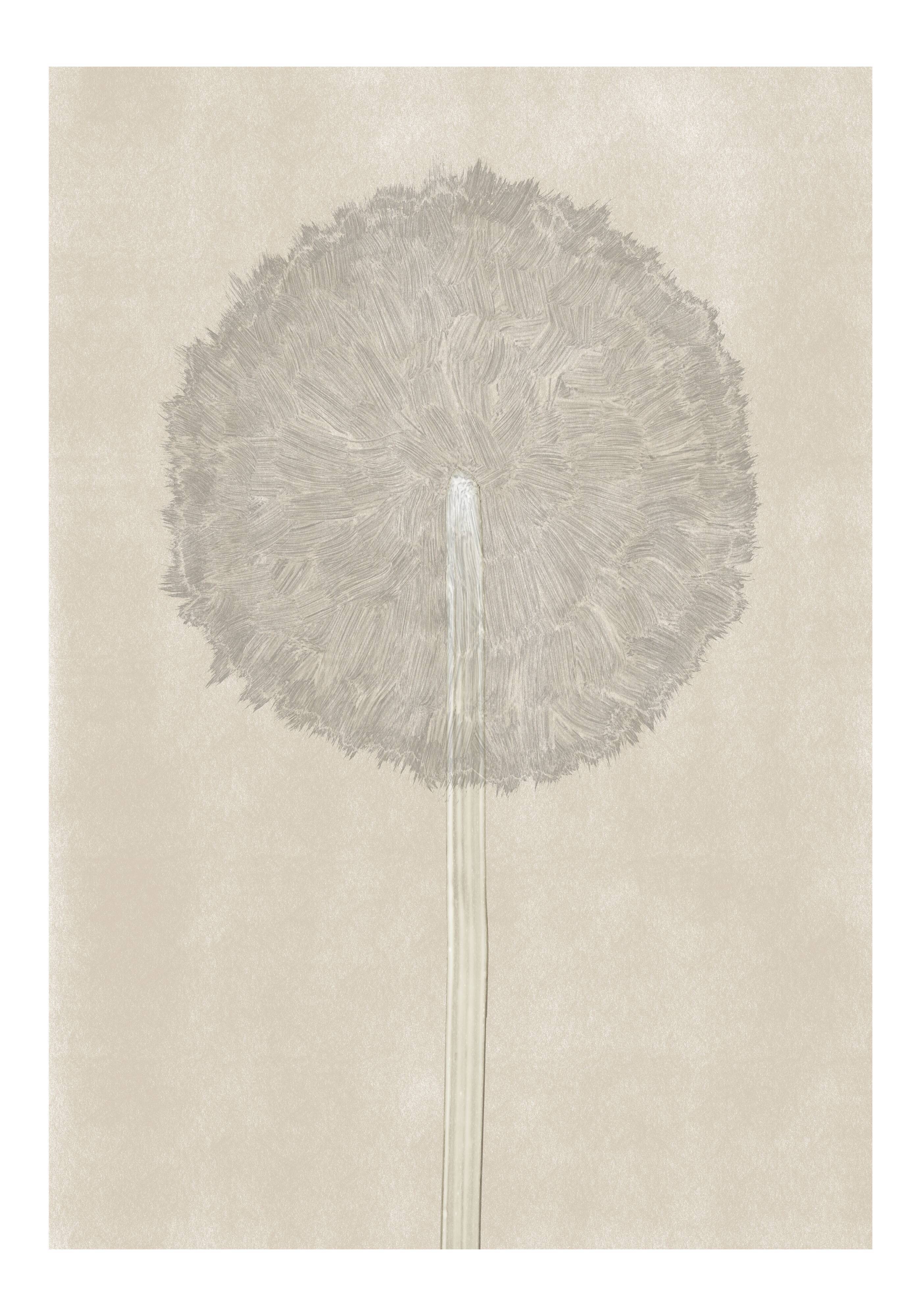 Dandelion - art print