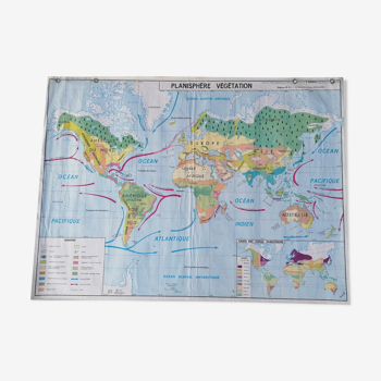 Planisphere world map vintage physics and vegetation