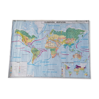 Planisphere world map vintage physics and vegetation