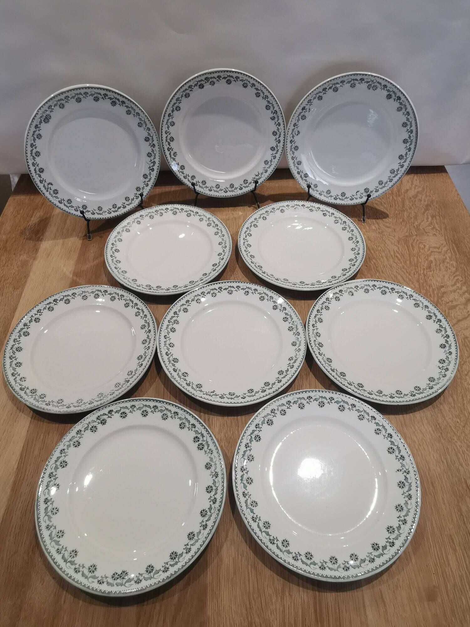 Set of 10 semi-hollow plates iron earth Moulin des loups "Georgette"