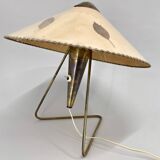 Large Rare Table or Wall Lamp by Helena Frantova for OKOLO, Czechoslovakia, 1950's