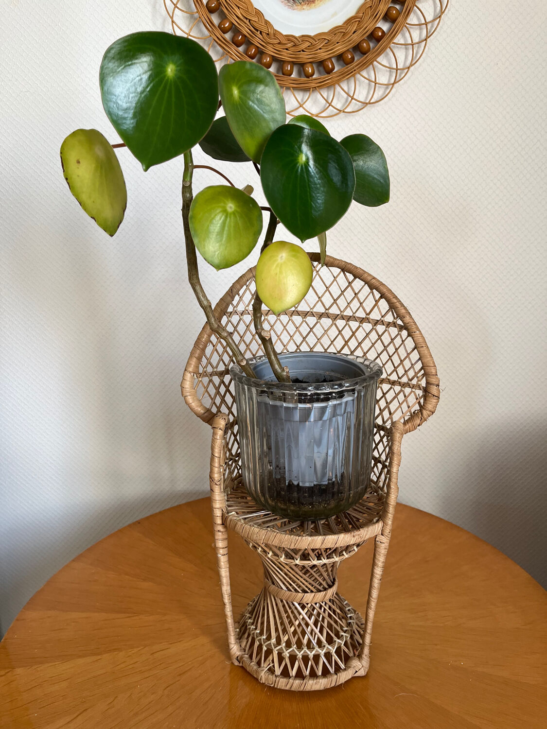 Emmanuelle vintage rattan plant holder