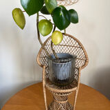 Emmanuelle vintage rattan plant holder