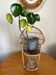 Emmanuelle vintage rattan plant holder